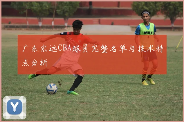 广东宏远CBA球员完整名单与技术特点分析