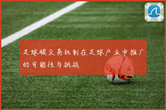 足球碳交易机制在足球产业中推广的可能性与挑战