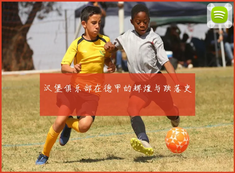 汉堡俱乐部在德甲的辉煌与跌落史